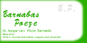 barnabas pocze business card