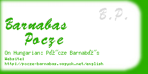 barnabas pocze business card